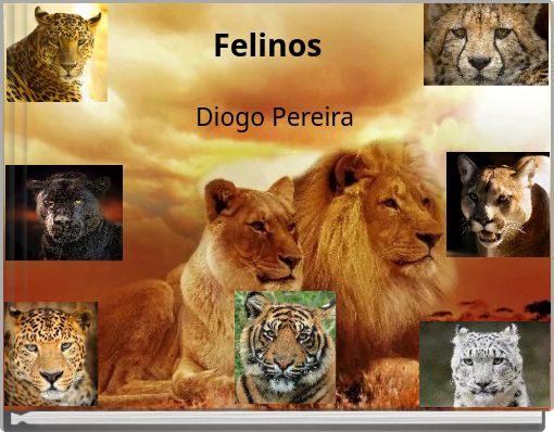 Front cover of 'Felinos' 