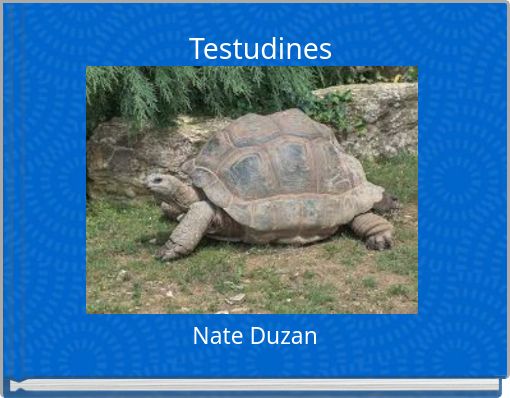 Testudines