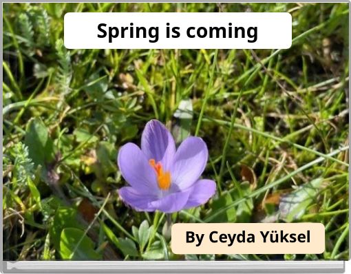 Spring is coming