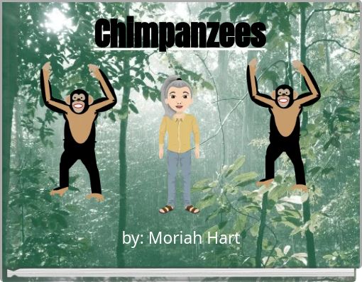 Chimpanzees