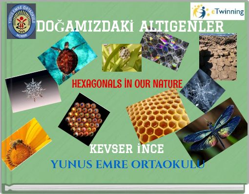 DOĞAMIZDAKİ ALTIGENLER HEXAGONALS İN OUR NATURE