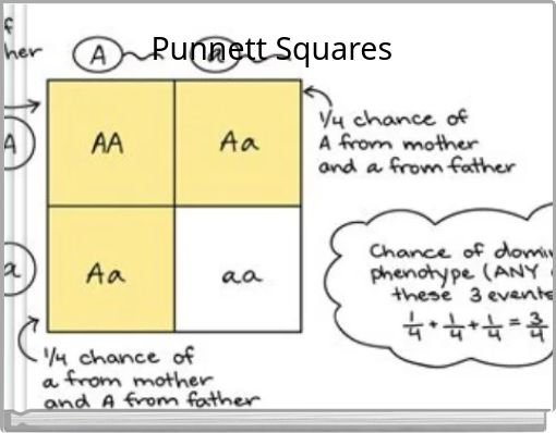 Punnett Squaress