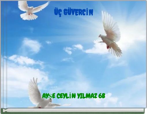 &Uuml;&Ccedil; G&Uuml;VERCİN