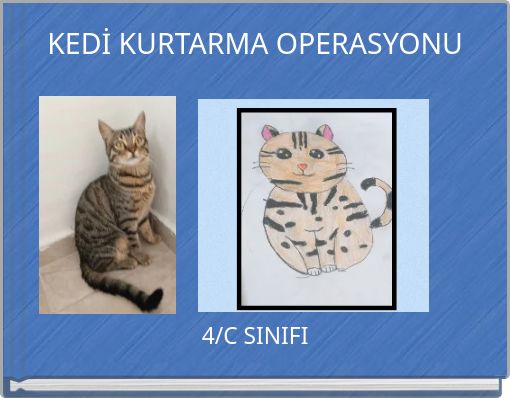 KEDİ KURTARMA OPERASYONU