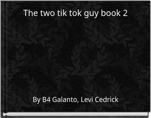 The two tik tok guy book 2