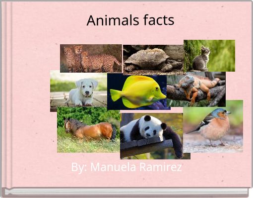 Front cover of 'Animals facts' 