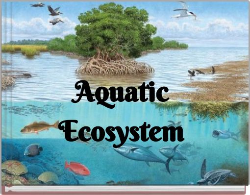 Aquatic Ecosystem