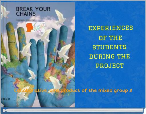 experiences of the students during the project