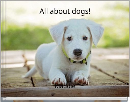 Front cover of 'All about dogs!' 
