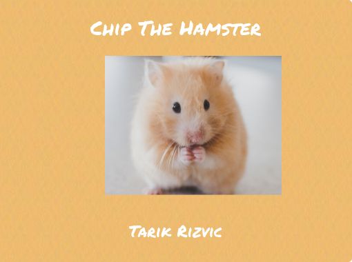 Hamster best sale pet online