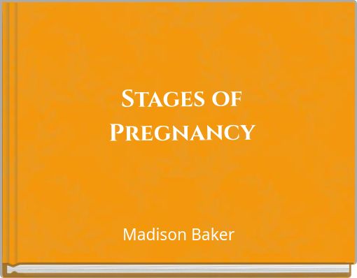 Stages of Pregnancy