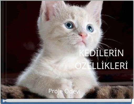 Front cover of 'KEDİLERİN ÖZELLİKLERİ' 