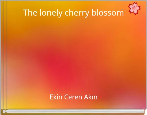The lonely cherry blossom