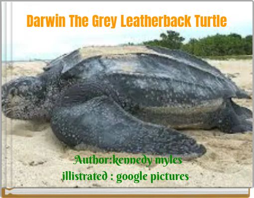 Darwin The Grey Leatherback Turtle