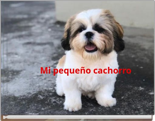 Mi pequeño cachorro