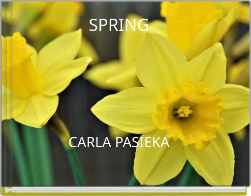SPRING