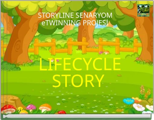 LIFECYCLE STORY