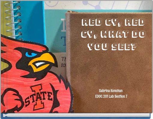 Red Cy, Red Cy, What Do You See?