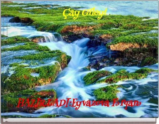 Front cover of 'Çay Gileyi' 