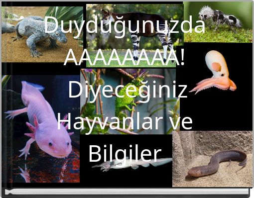 Front cover of 'Duyduğunuzda AAAAAAAA! Diyeceğiniz Hayvanlar ve Bilgiler' 