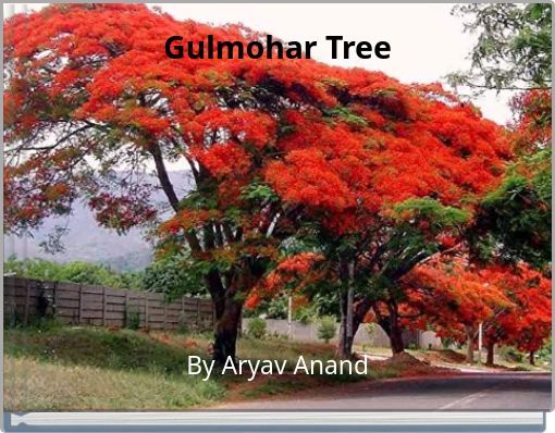 Gulmohar Tree