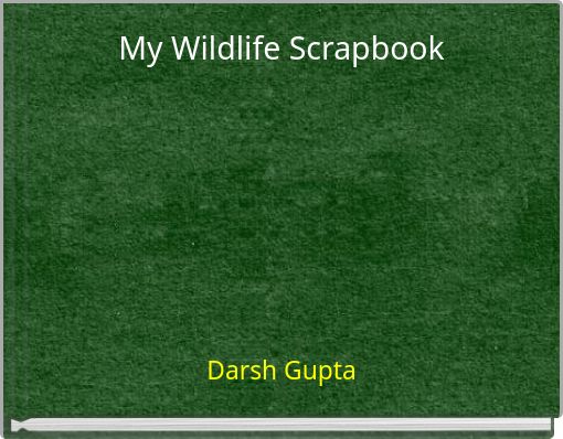 My Wildlife Scrapbook