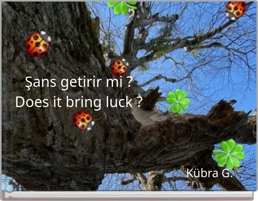 Şans getirir mi ? Does it bring luck ?