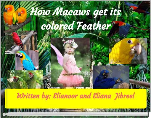 How Macaws get its colored Feather