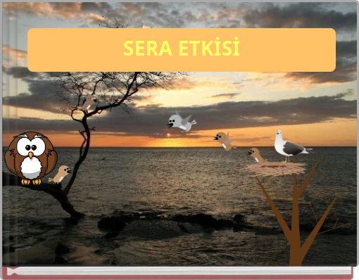 Front cover of 'SERA ETKİSİ' 