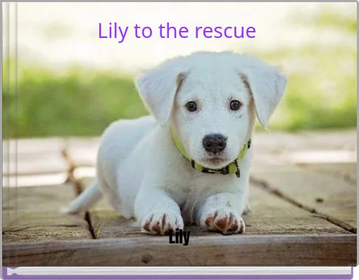 Lily to the rescue