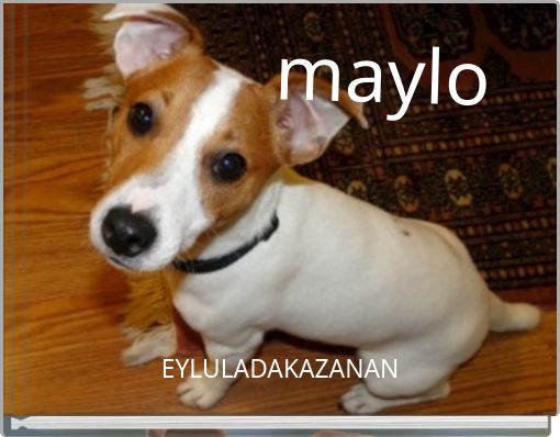 maylo
