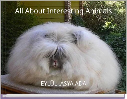 All About Interesting Animals
