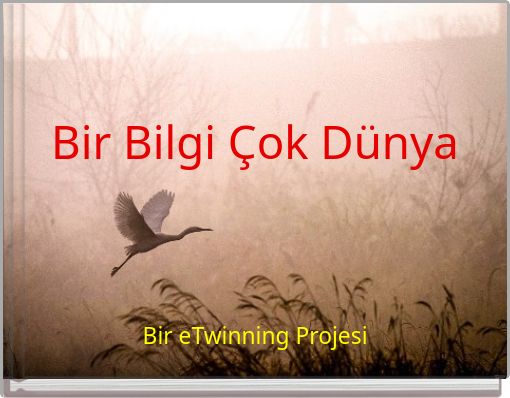 Bir Bilgi Çok Dünya