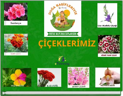 &Ccedil;İ&Ccedil;EKLERİMİZ