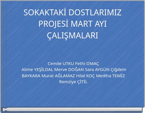 SOKAKTAKİ DOSTLARIMIZ PROJESİ MART AYI ÇALIŞMALARI