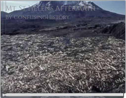Mt. St Helens Aftermath