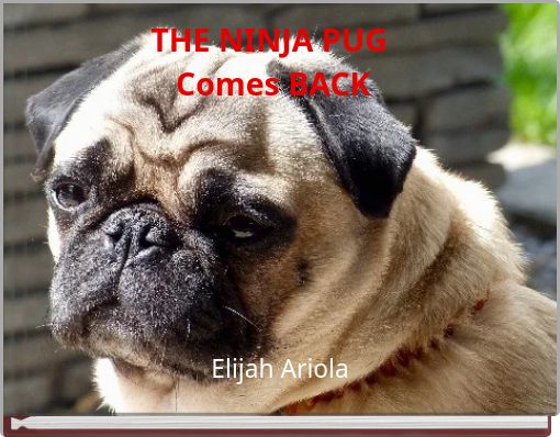 THE NINJA PUG Comes BACK