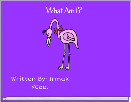 What Am I?