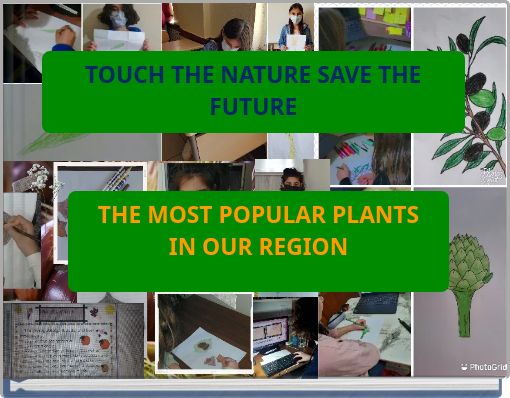 THE MOST POPULAR PLANTS IN OUR REGION