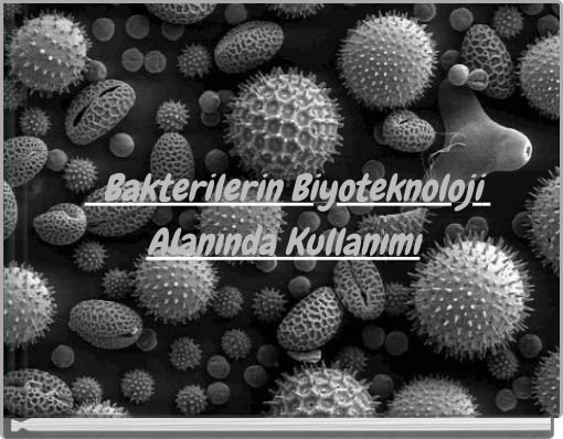 Bakterilerin Biyoteknoloji Alanında Kullanımı