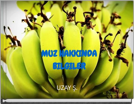 MUZ HAKKINDA BILGILER