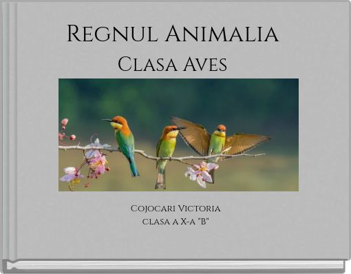 Regnul Animalia Clasa Aves
