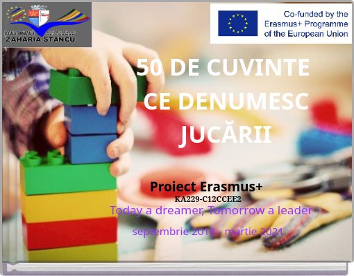 50 DE CUVINTE CE DENUMESC JUCĂRII