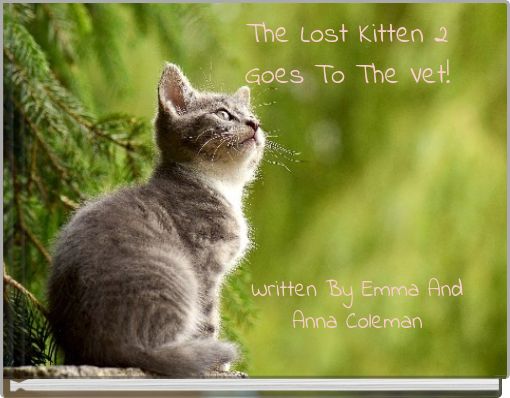 The Lost Kitten 2 Goes To The Vet!