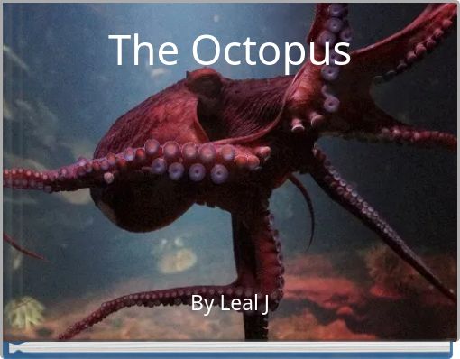 The Octopus