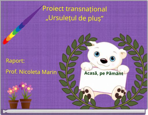 Proiect transnațional &bdquo;Ursulețul de pluș&rdquo;Raport:Prof. Nicoleta Marin Acasă, pe Păm&acirc;nt