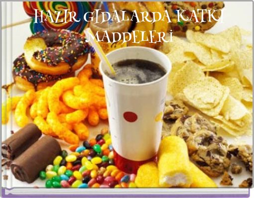 HAZIR GIDALARDA KATKI MADDELERİ