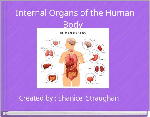 Front cover of 'Internal Organs of the Human Body' 
