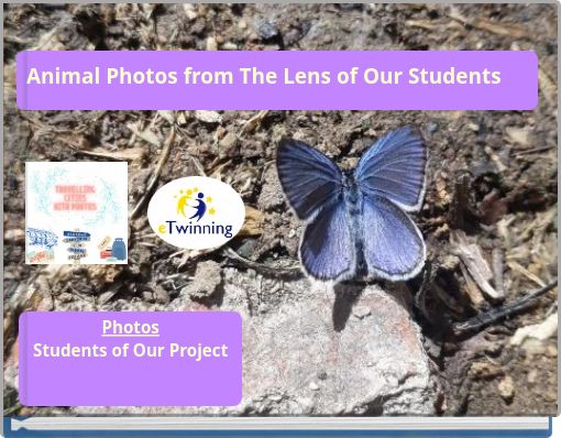 Animal Photos from The Lens of Our Students