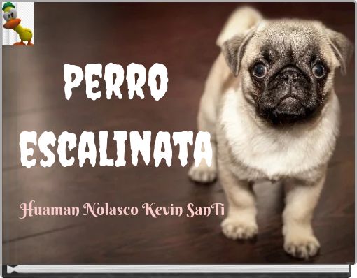 Perro escalinata